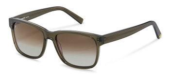 339 Rodenstock Young с\з